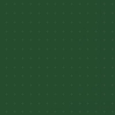 Green banner with gold star